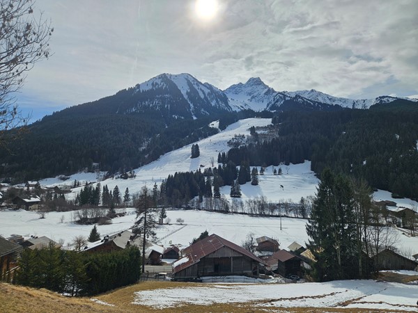 Medium property photo - Route de Savoie, 74360 La Chapelle-d'Abondance